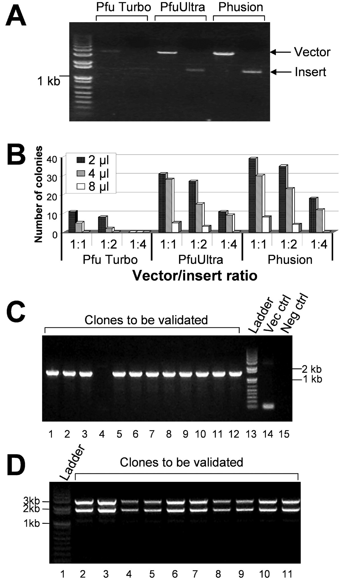 FastCloning: a highly simplified, purification-free, sequence- and  ligation-independent PCR cloning method | BMC Biotechnology | Full Text