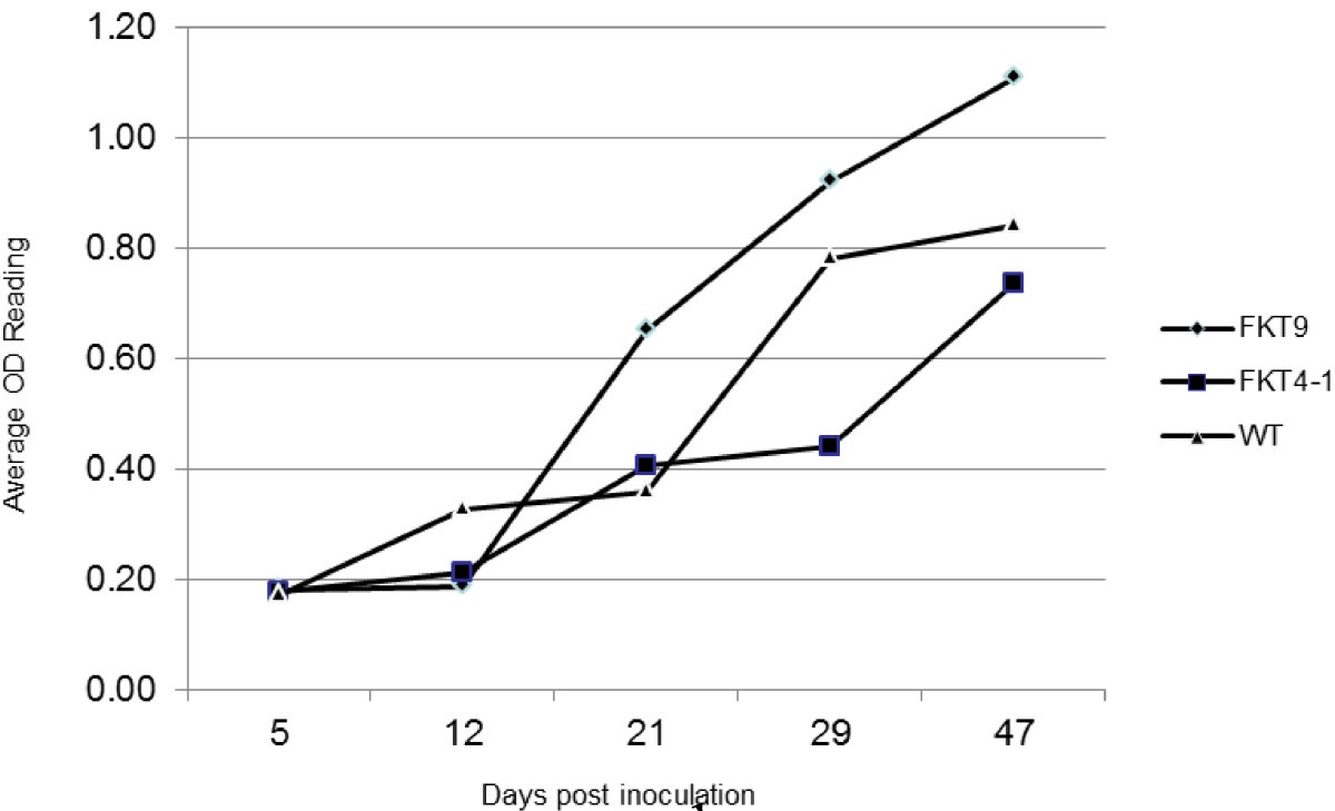 Figure 5