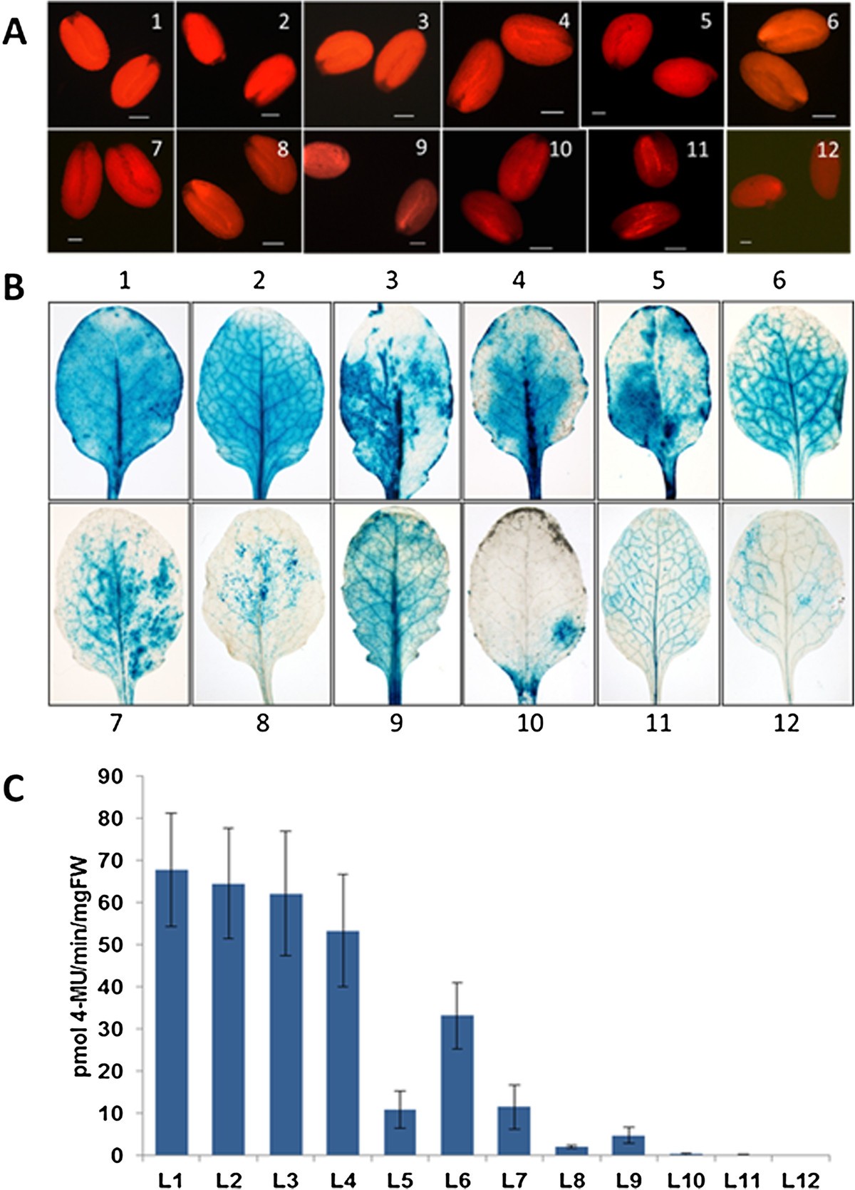 Figure 7