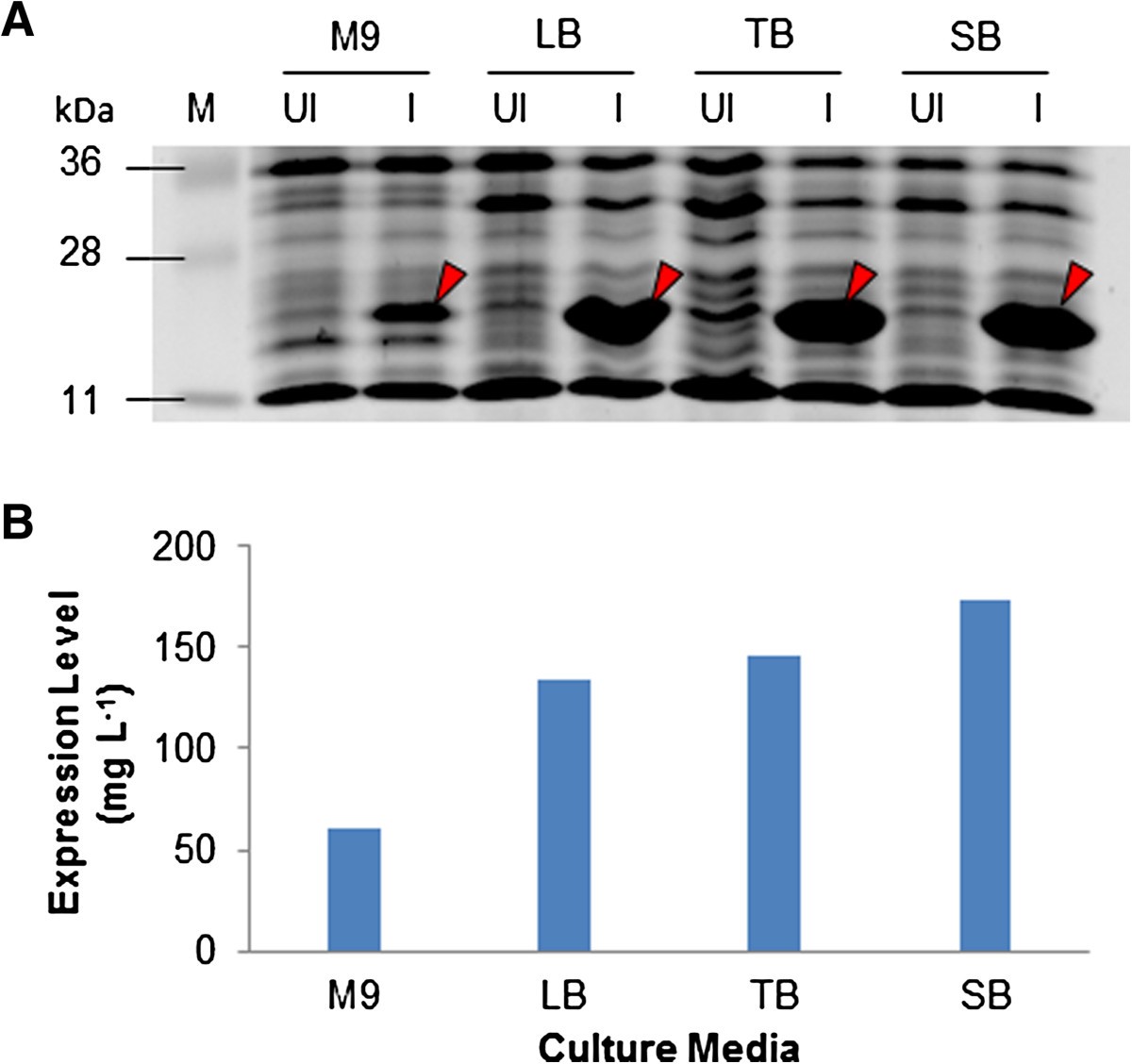 Figure 5