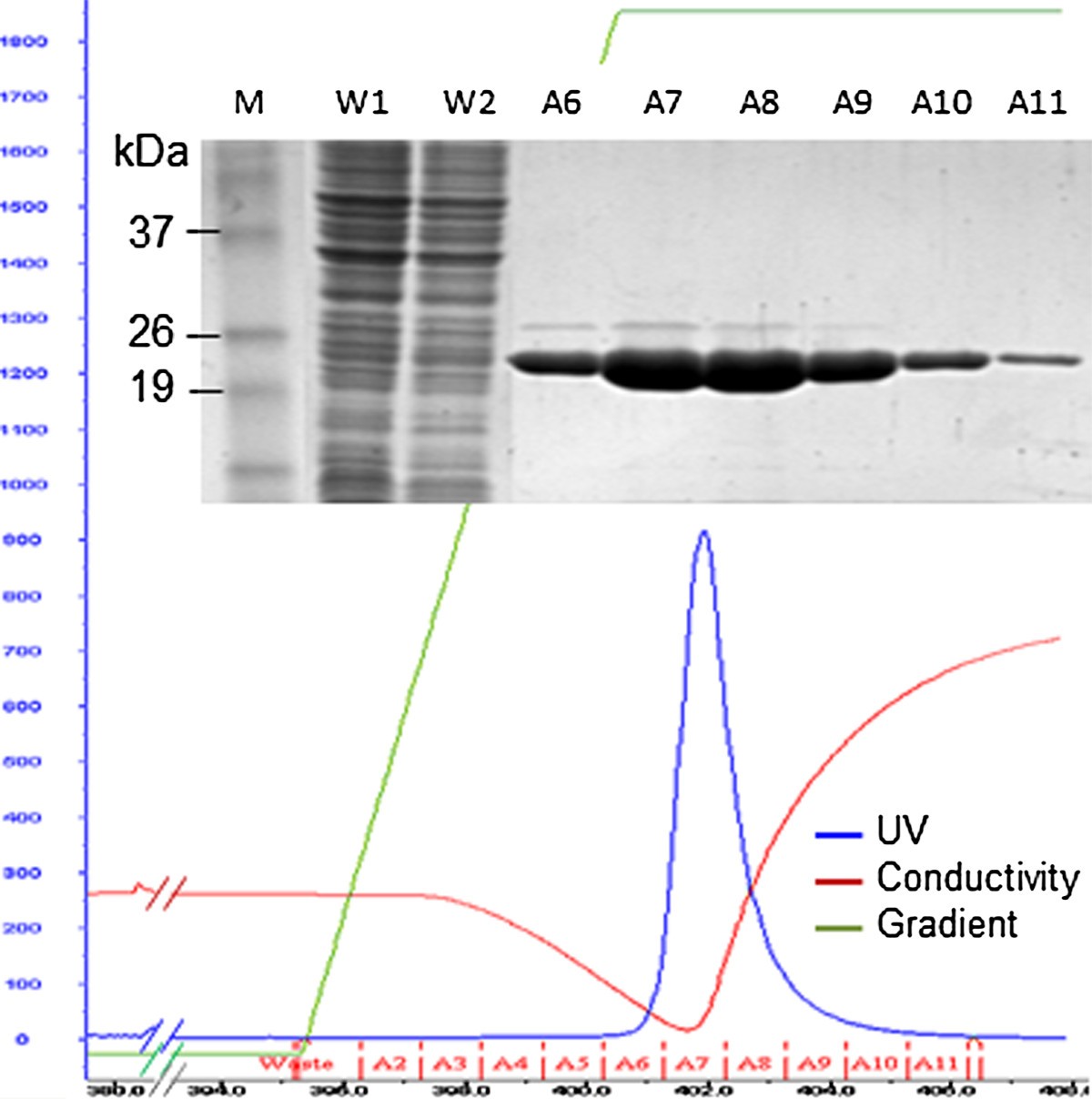 Figure 7