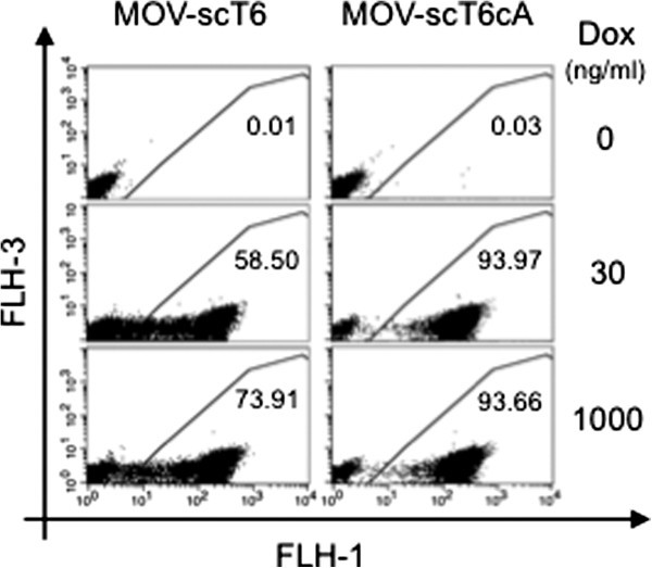 Figure 6