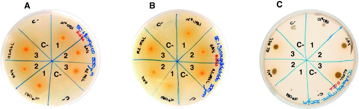 Figure 6