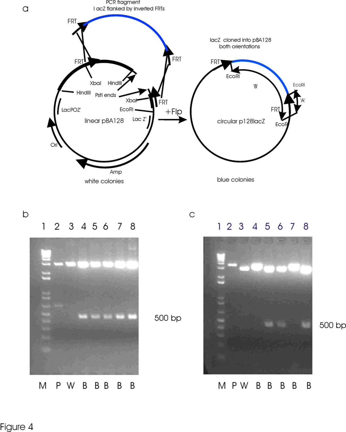 Figure 4