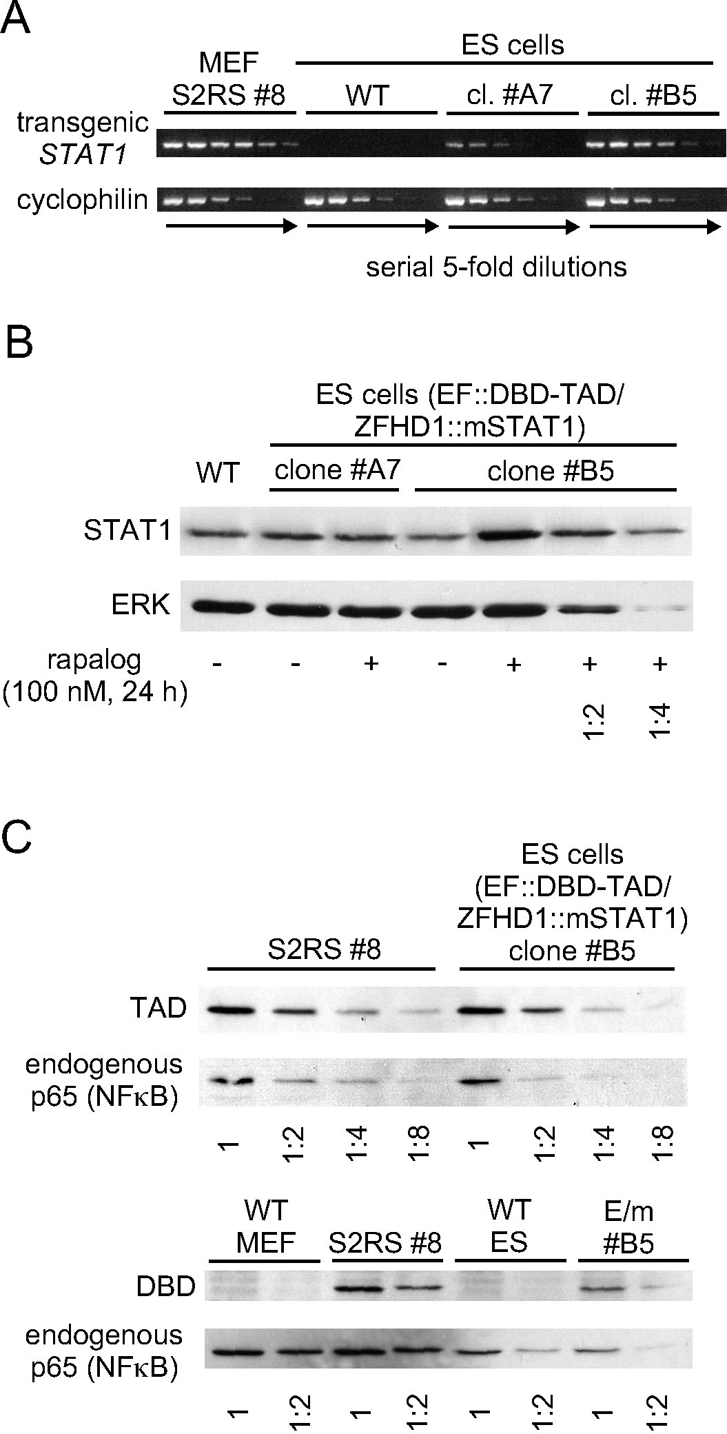 Figure 5