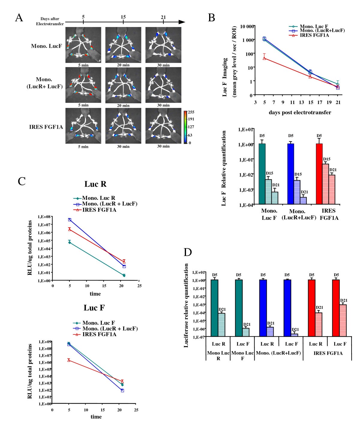 Figure 5