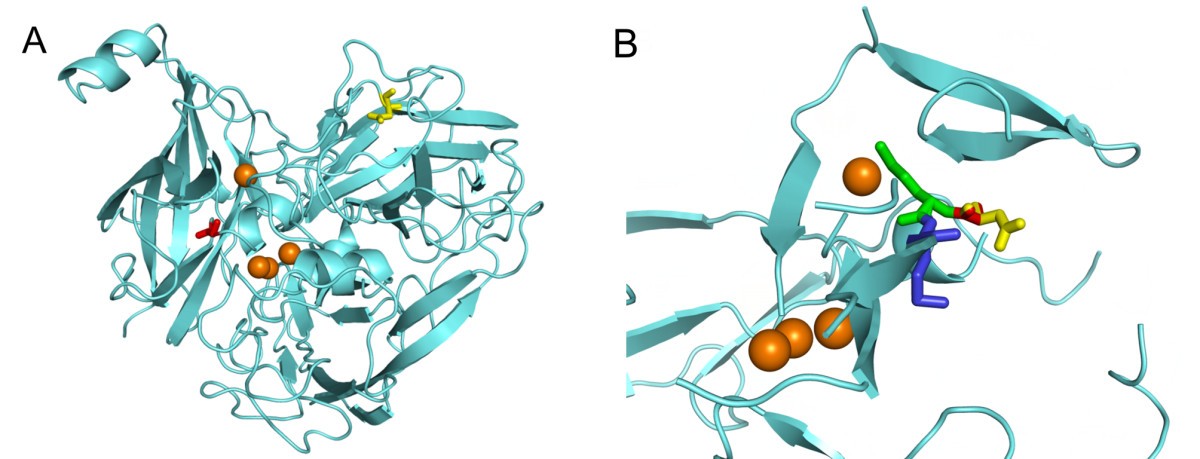 Figure 5