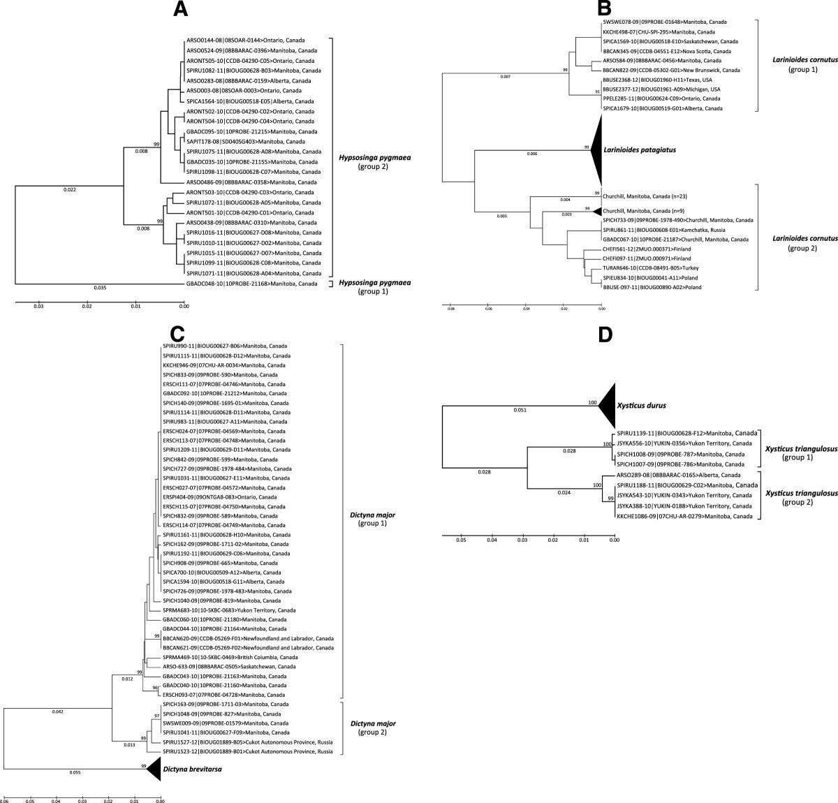 Figure 12