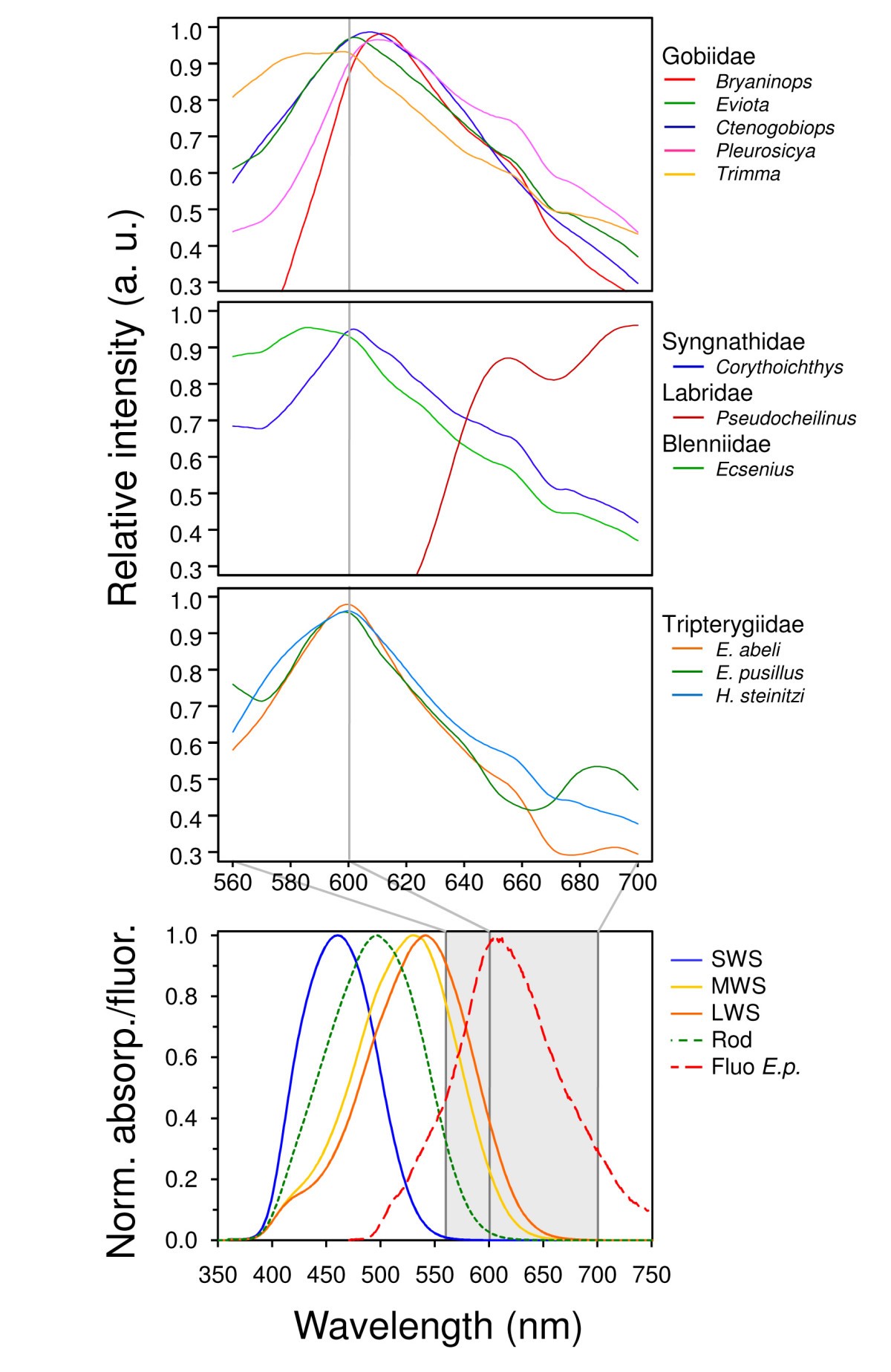 Figure 6