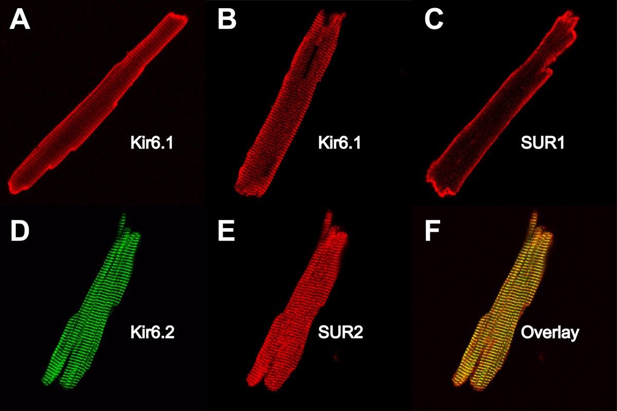 Figure 9