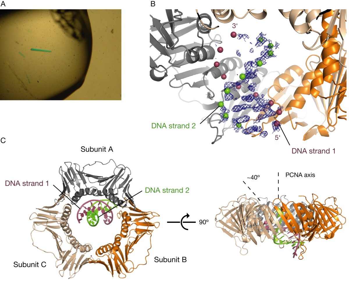 Figure 5