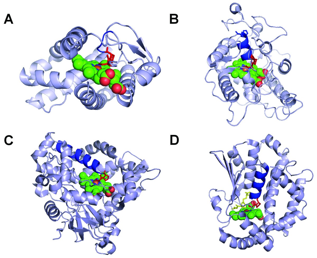 Figure 7