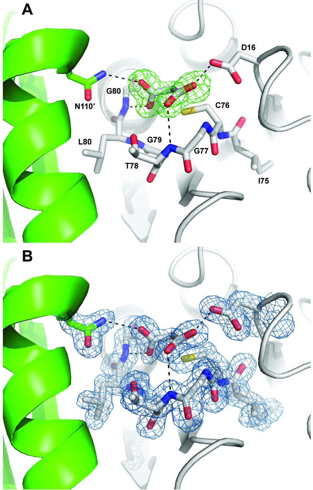 Figure 5