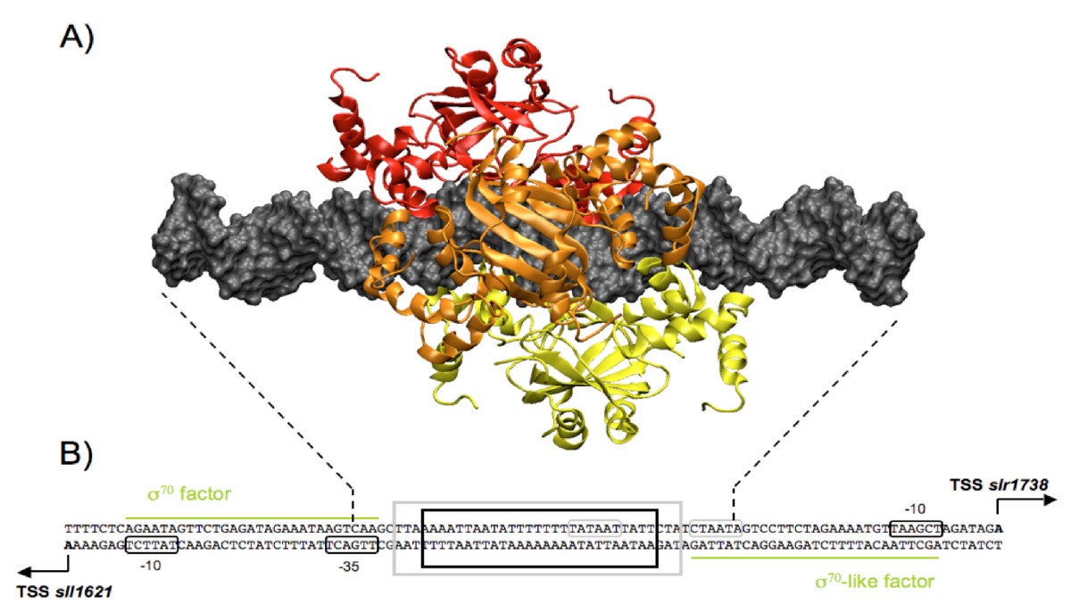 Figure 5