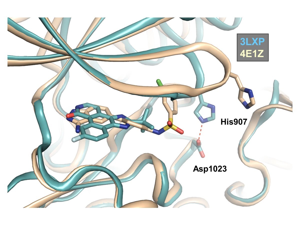 Figure 6