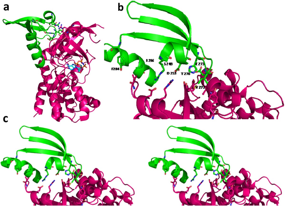 Figure 7