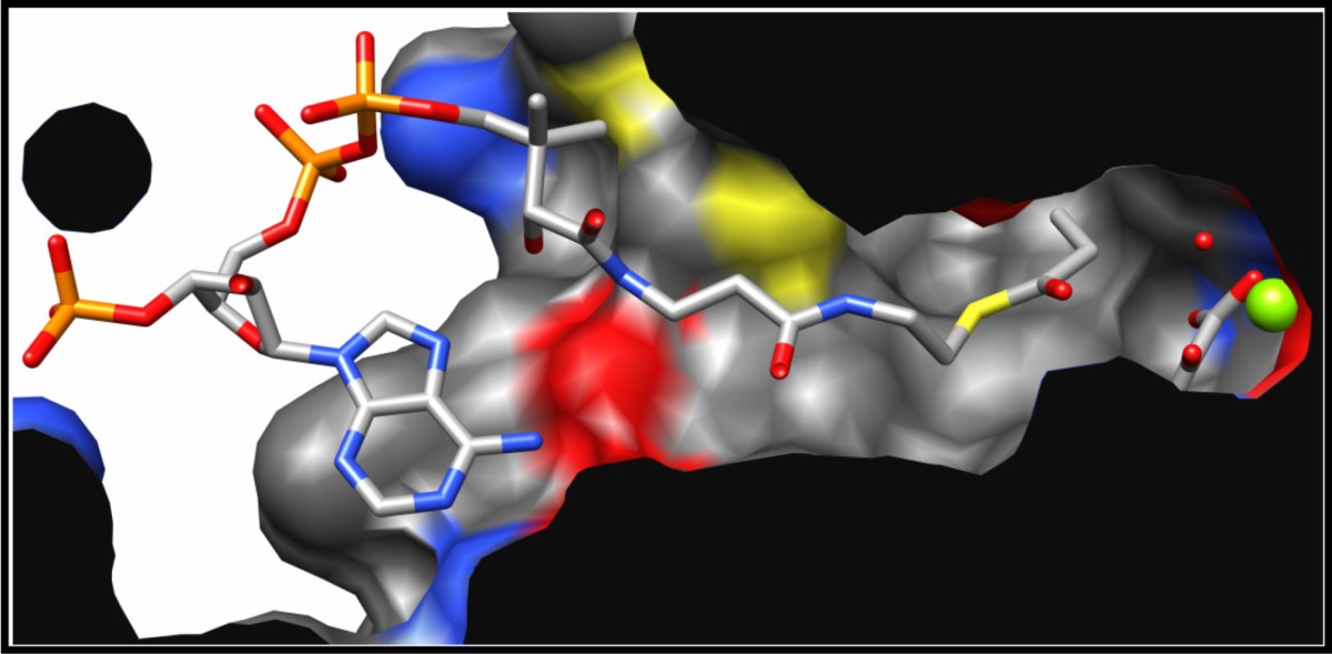 Figure 7