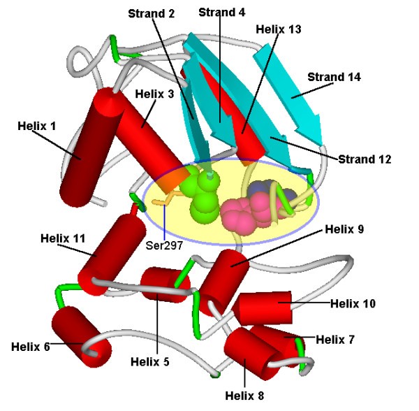 Figure 5