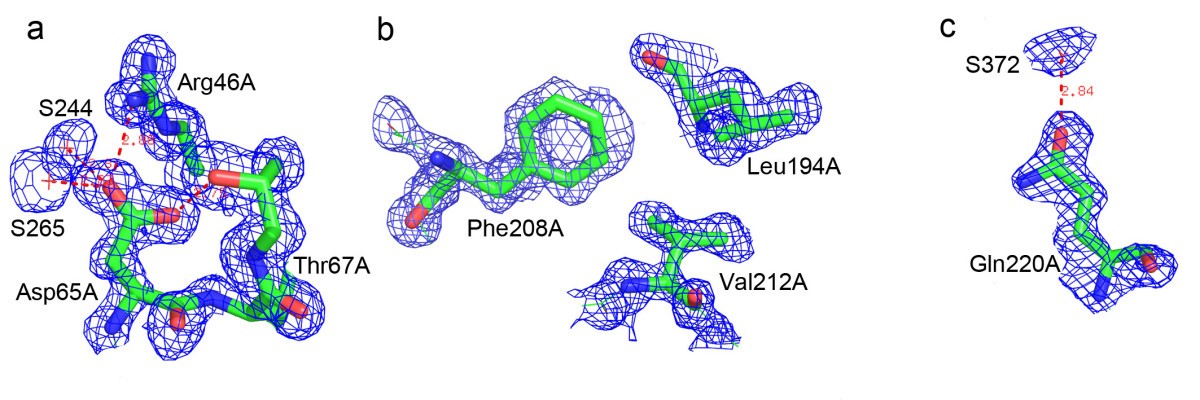 Figure 5