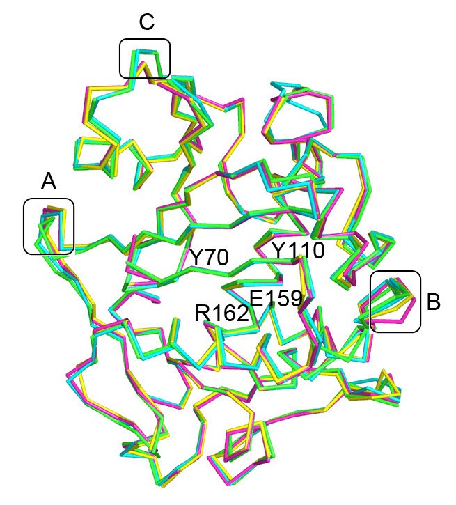 Figure 7