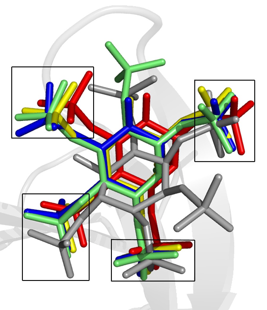 Figure 5