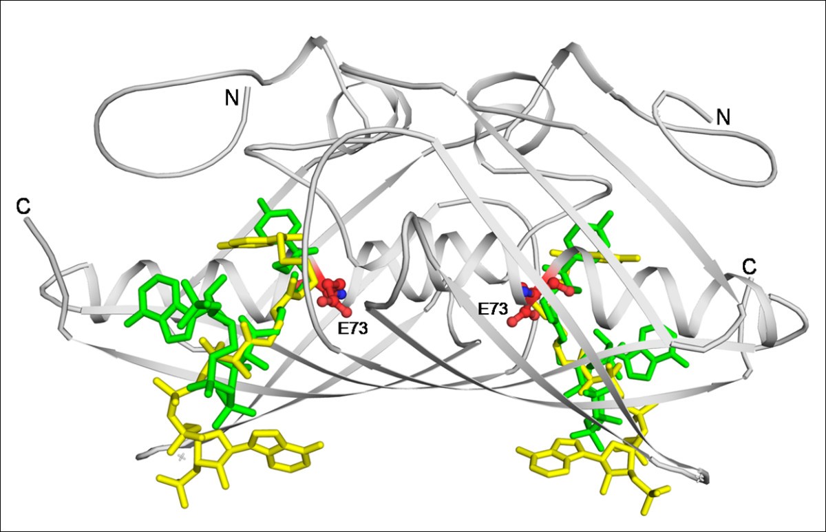 Figure 10