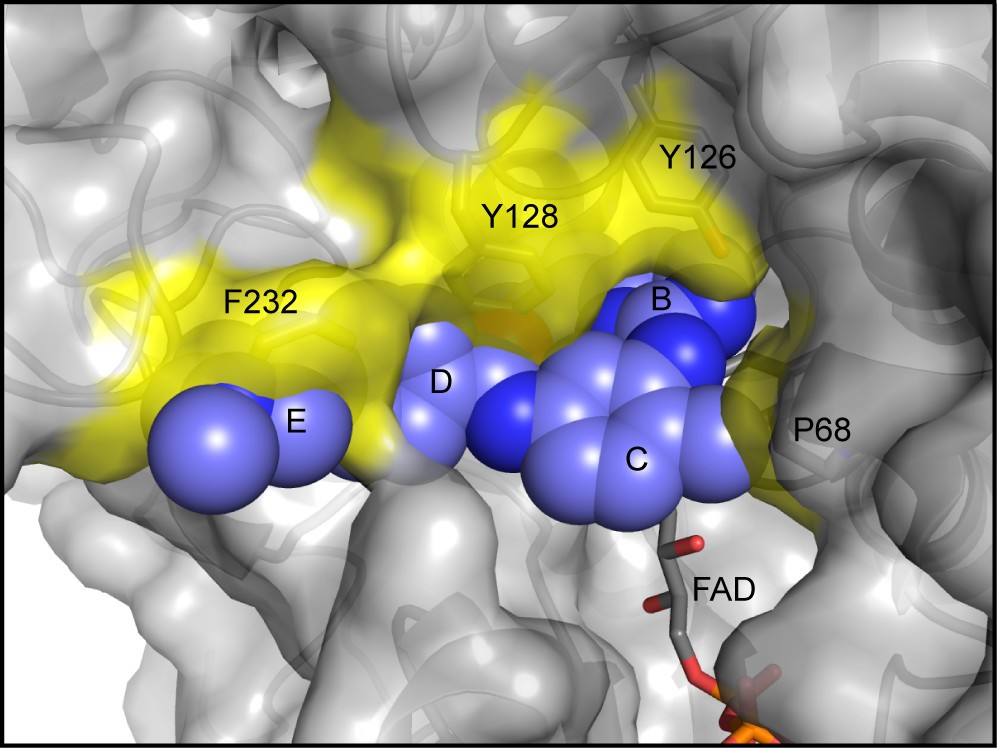 Figure 6