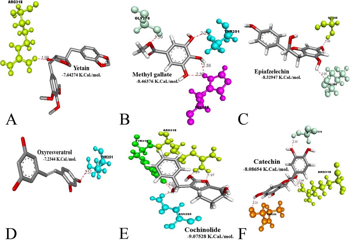 Figure 5