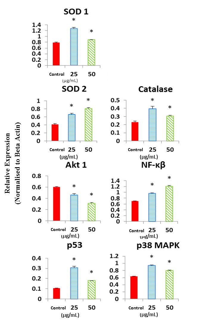 Figure 5