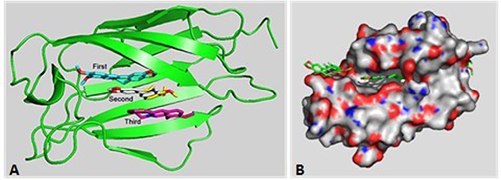 Figure 4