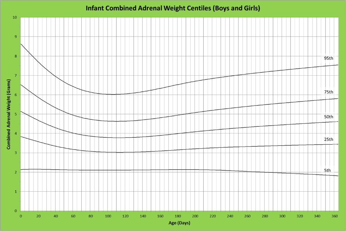 Figure 15