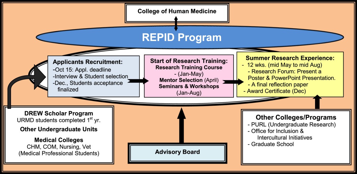 Vet School Requirements Chart