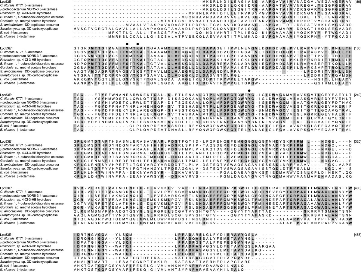 Isolation Identification And Biochemical Characterization Of A Novel Halo Tolerant Lipase From The Metagenome Of The Marine Sponge Haliclona Simulans Microbial Cell Factories Full Text
