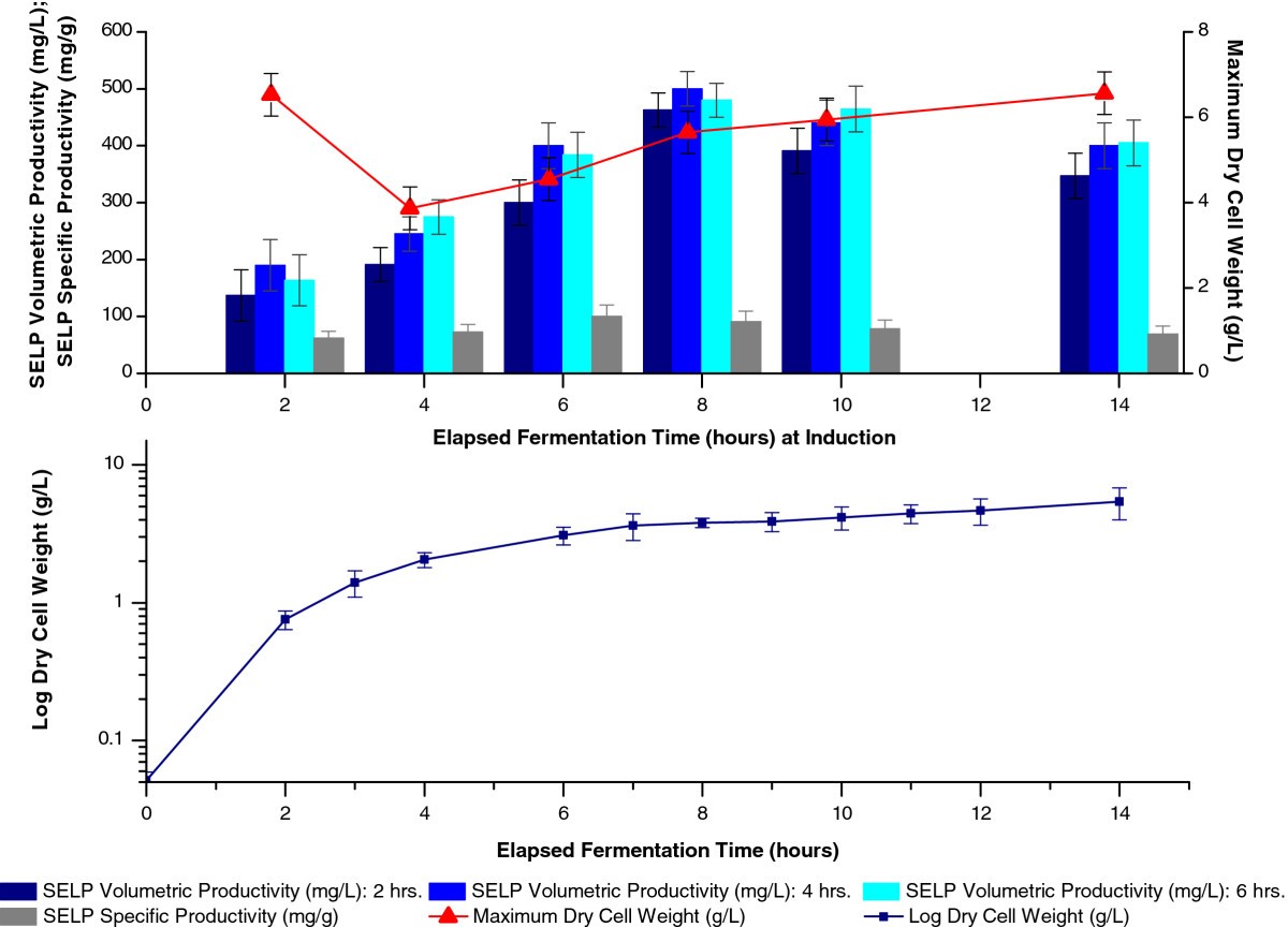 Batch production of a silk-elastin-like protein in E. coli BL21(DE3): key  parameters for optimisation | Microbial Cell Factories | Full Text