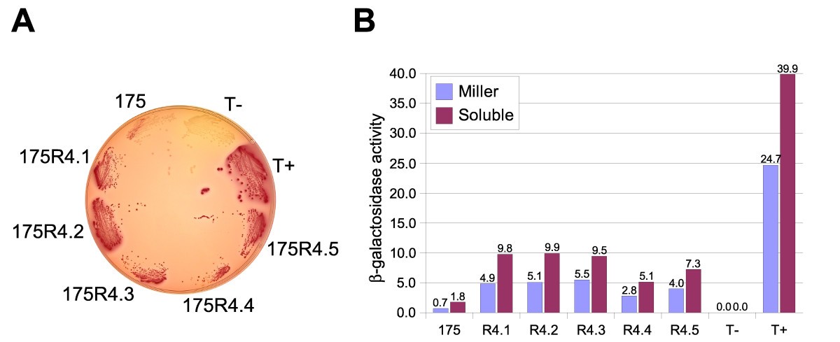 Figure 5