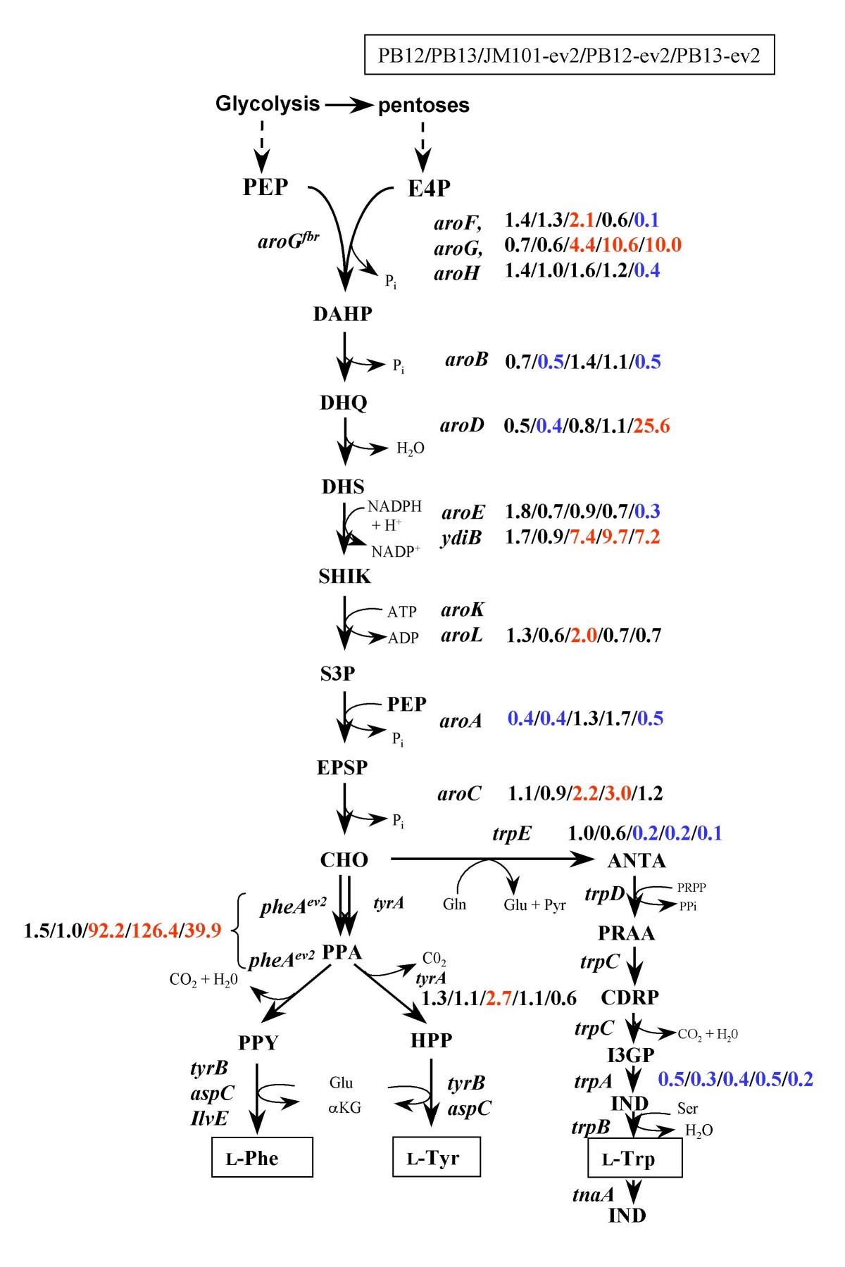 Figure 5