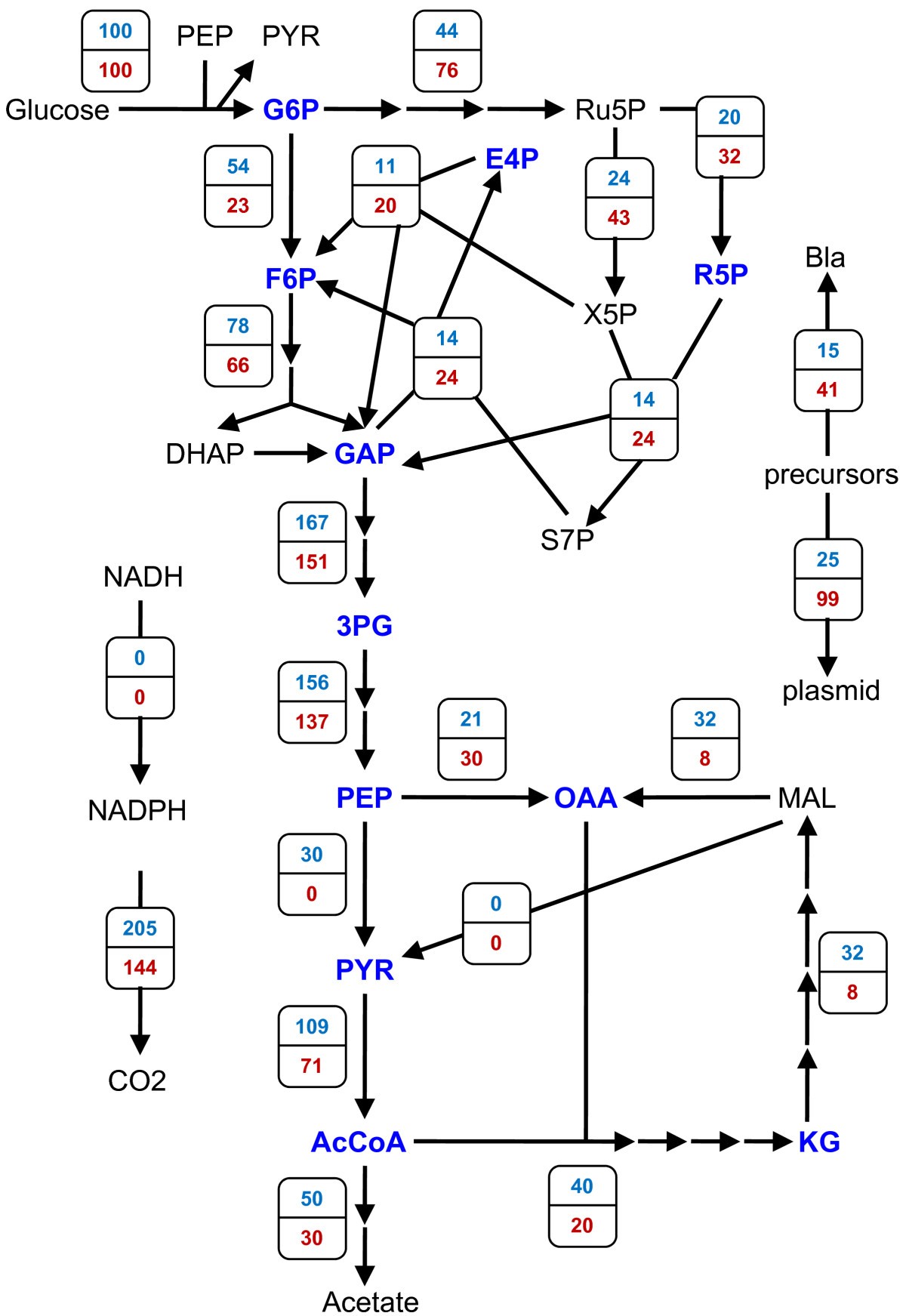 Figure 5