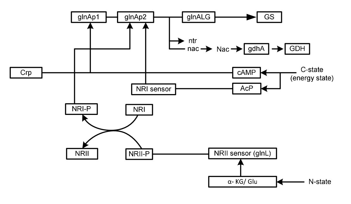 Figure 9