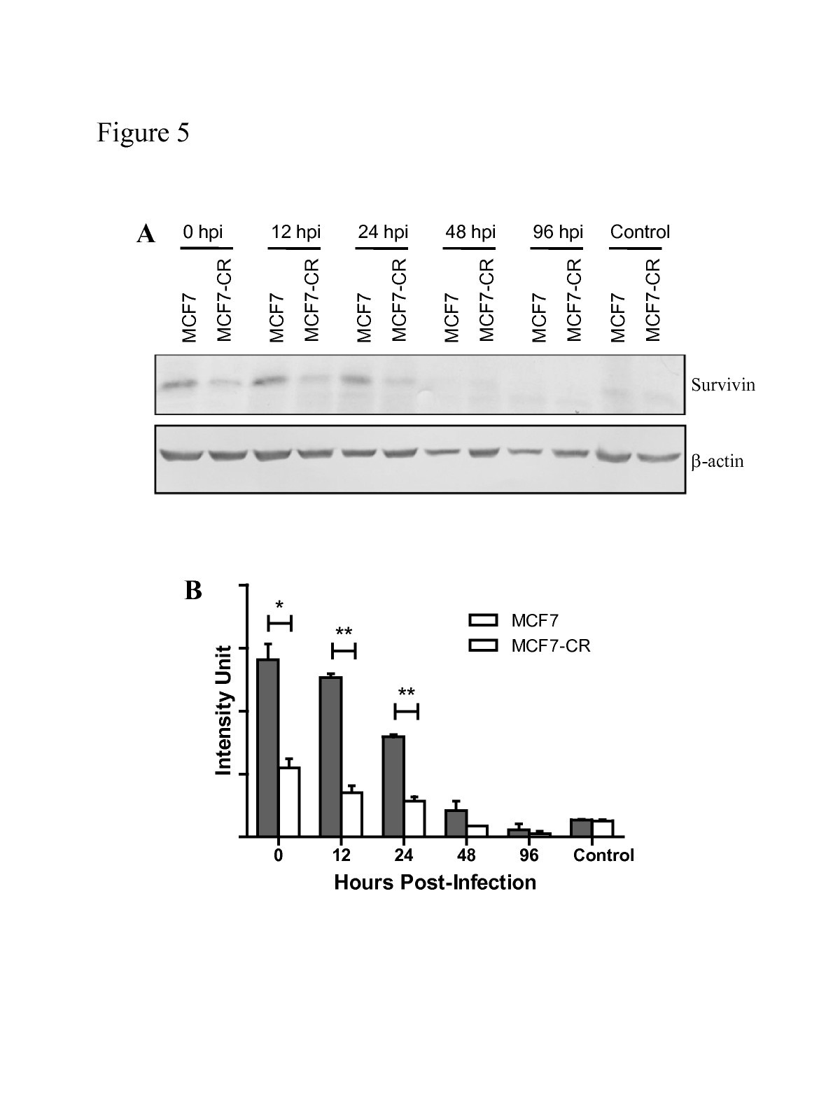 Figure 5