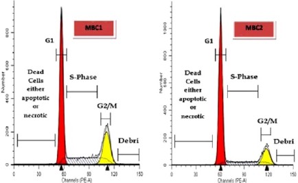 Figure 13