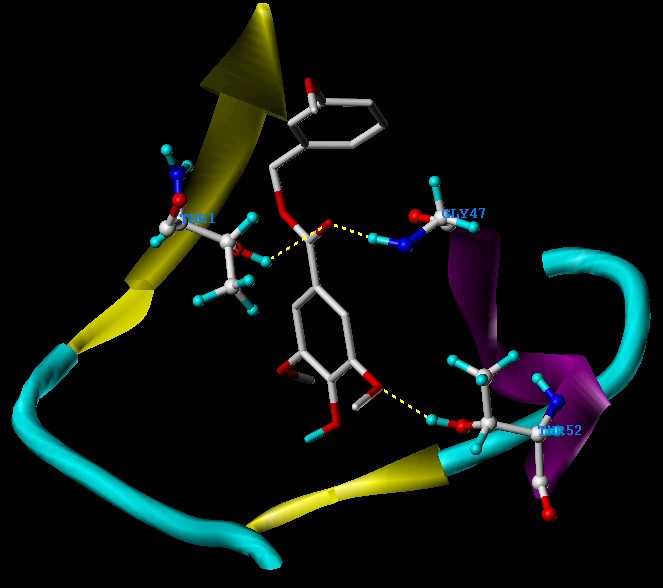 Figure 11