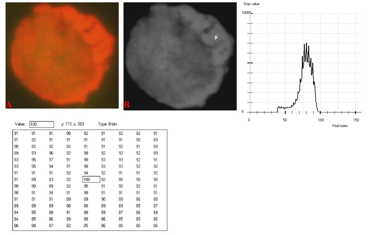 Figure 14