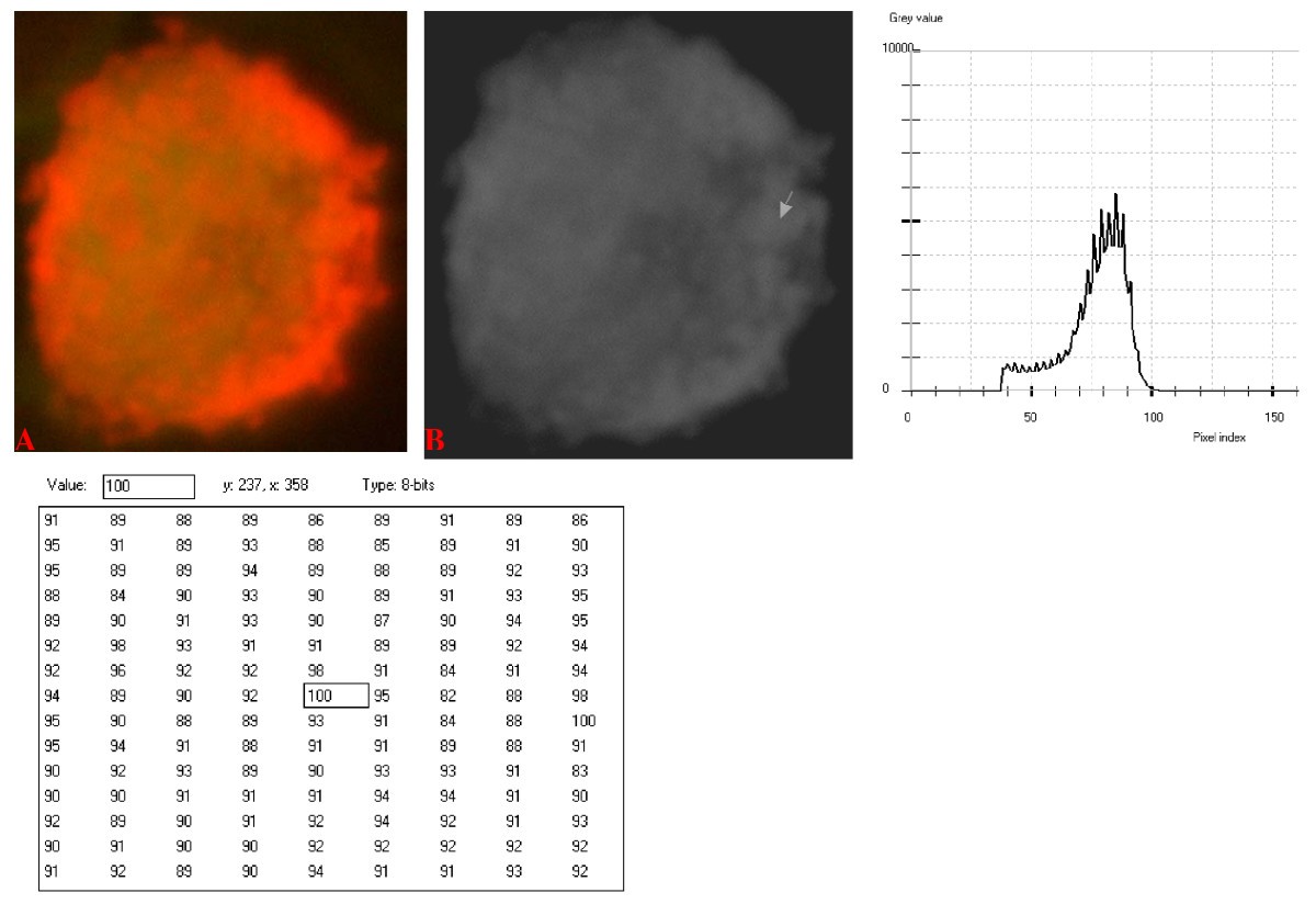 Figure 15