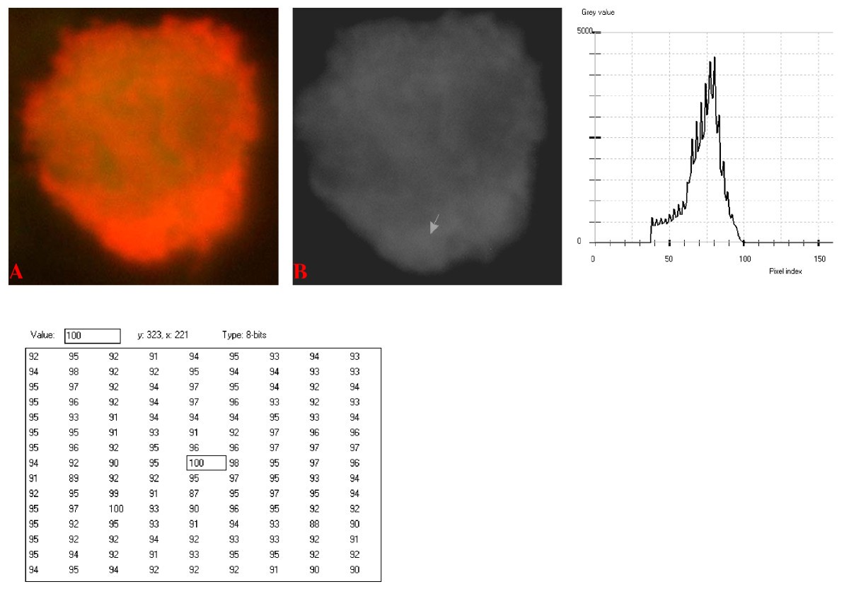 Figure 16