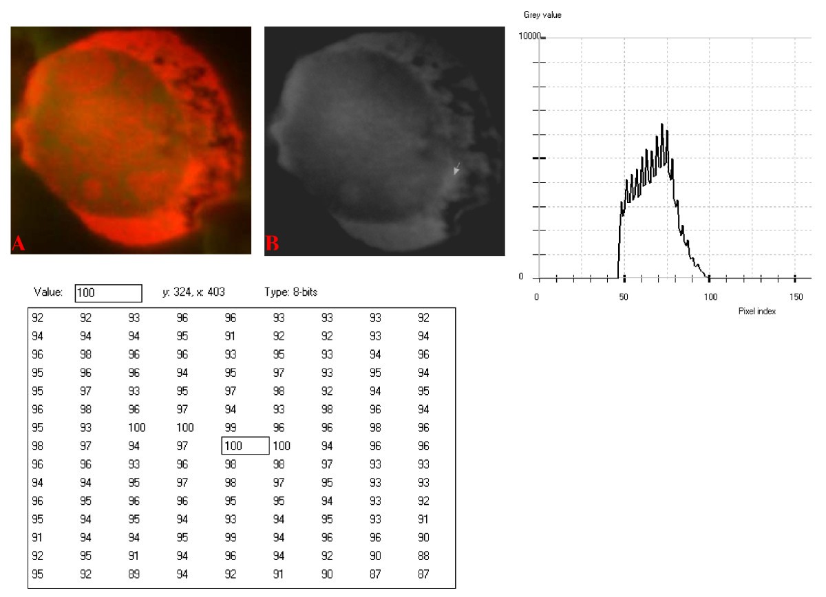 Figure 22