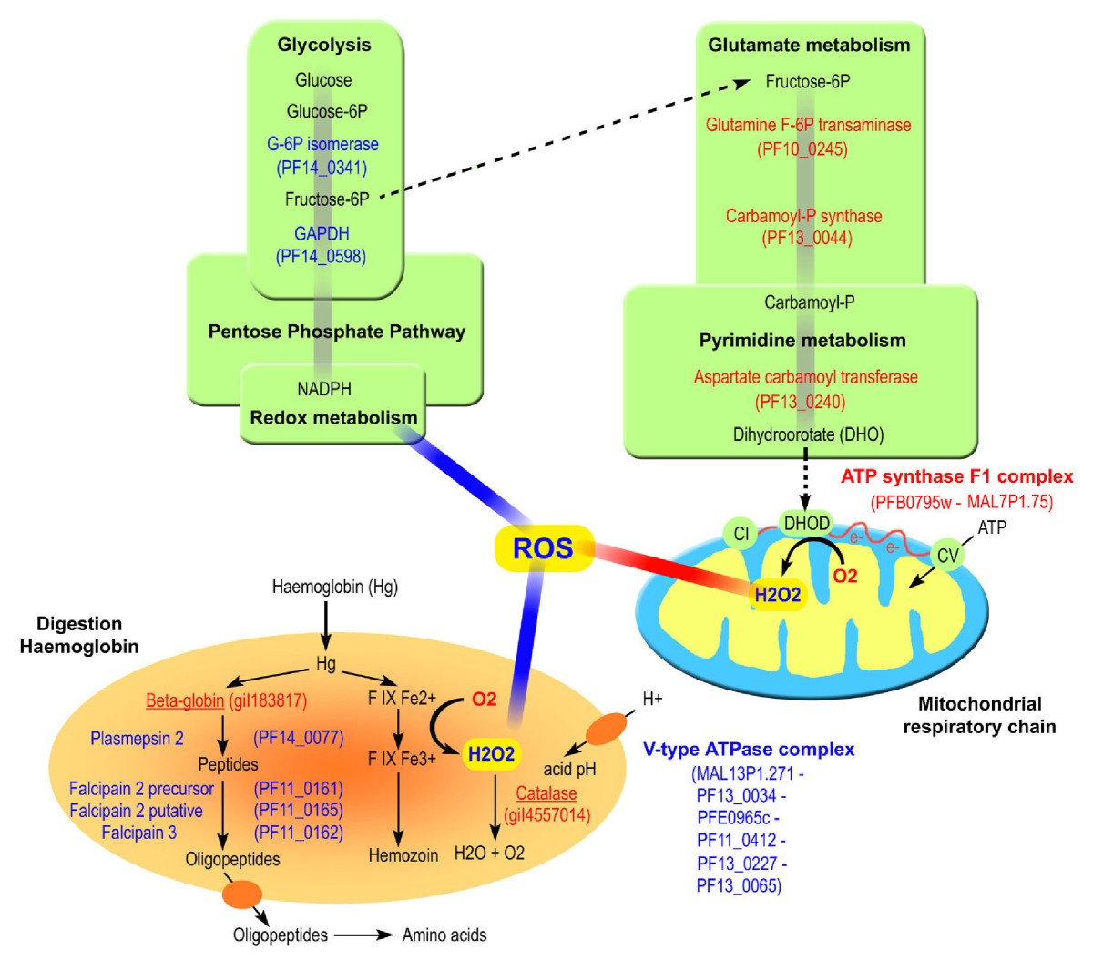 Figure 7