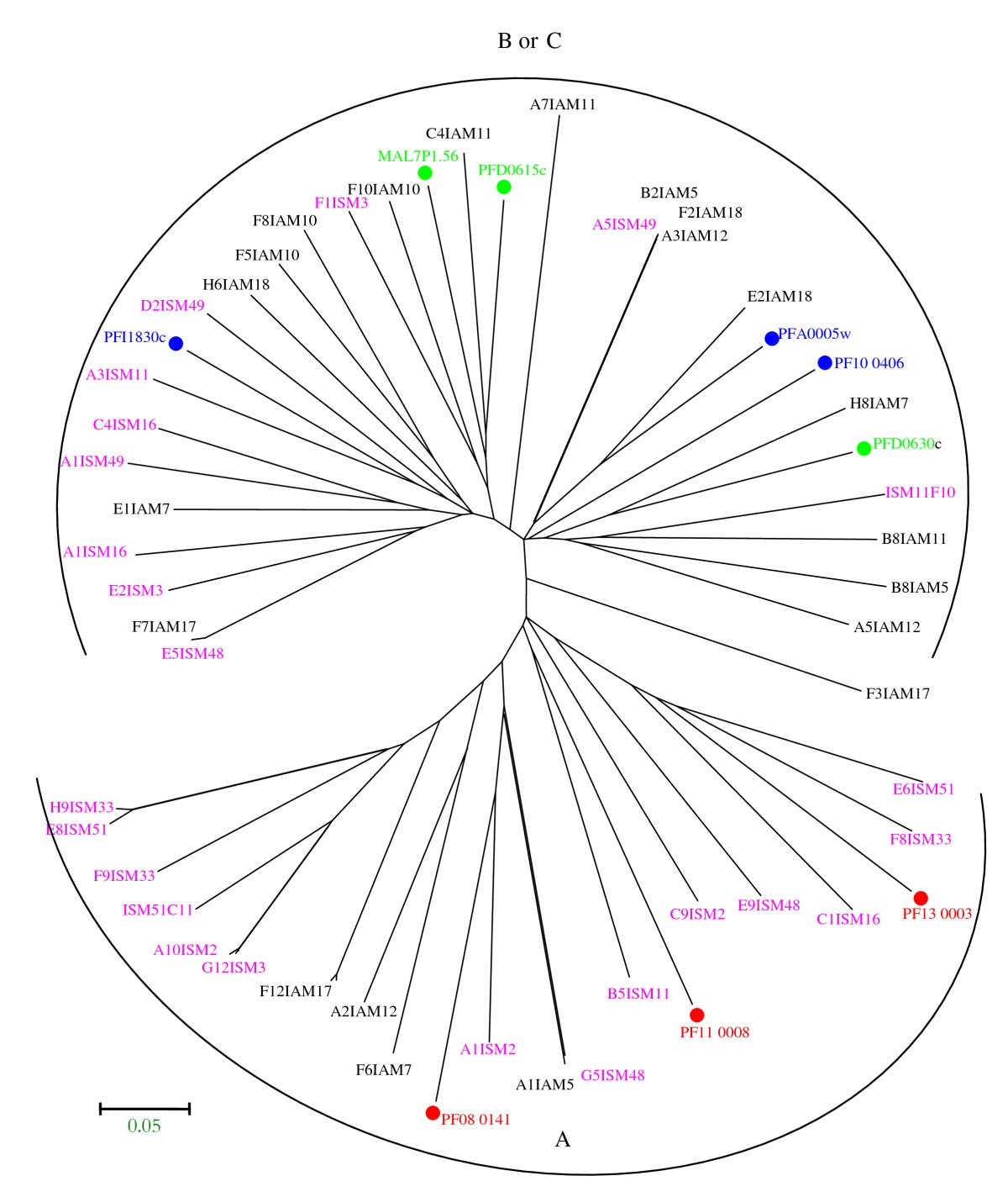 Figure 6