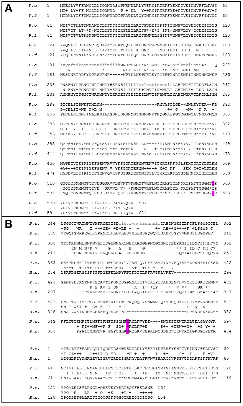 Artemisinin Resistance In Rodent Malaria Mutation In The Ap2 Adaptor M Chain Suggests Involvement Of Endocytosis And Membrane Protein Trafficking Malaria Journal Full Text