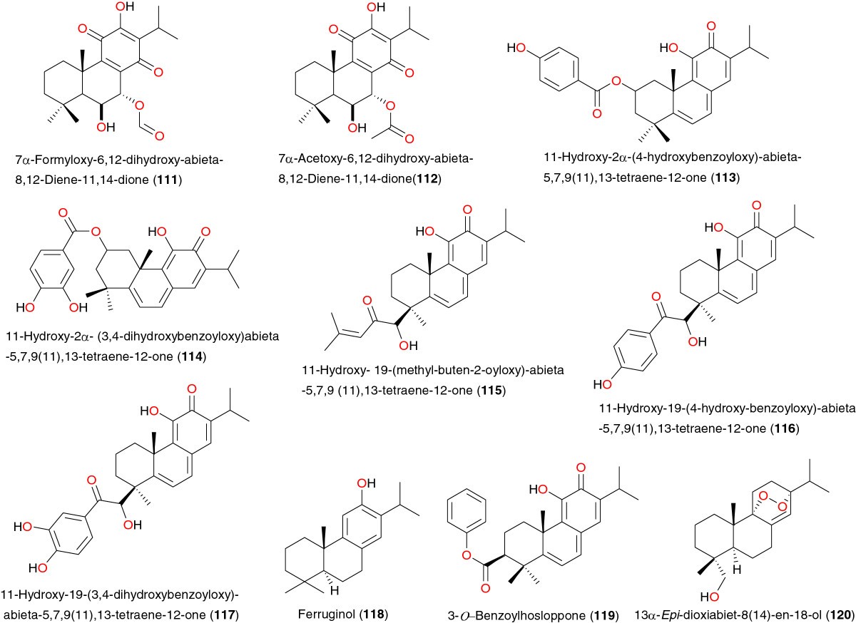 Figure 14