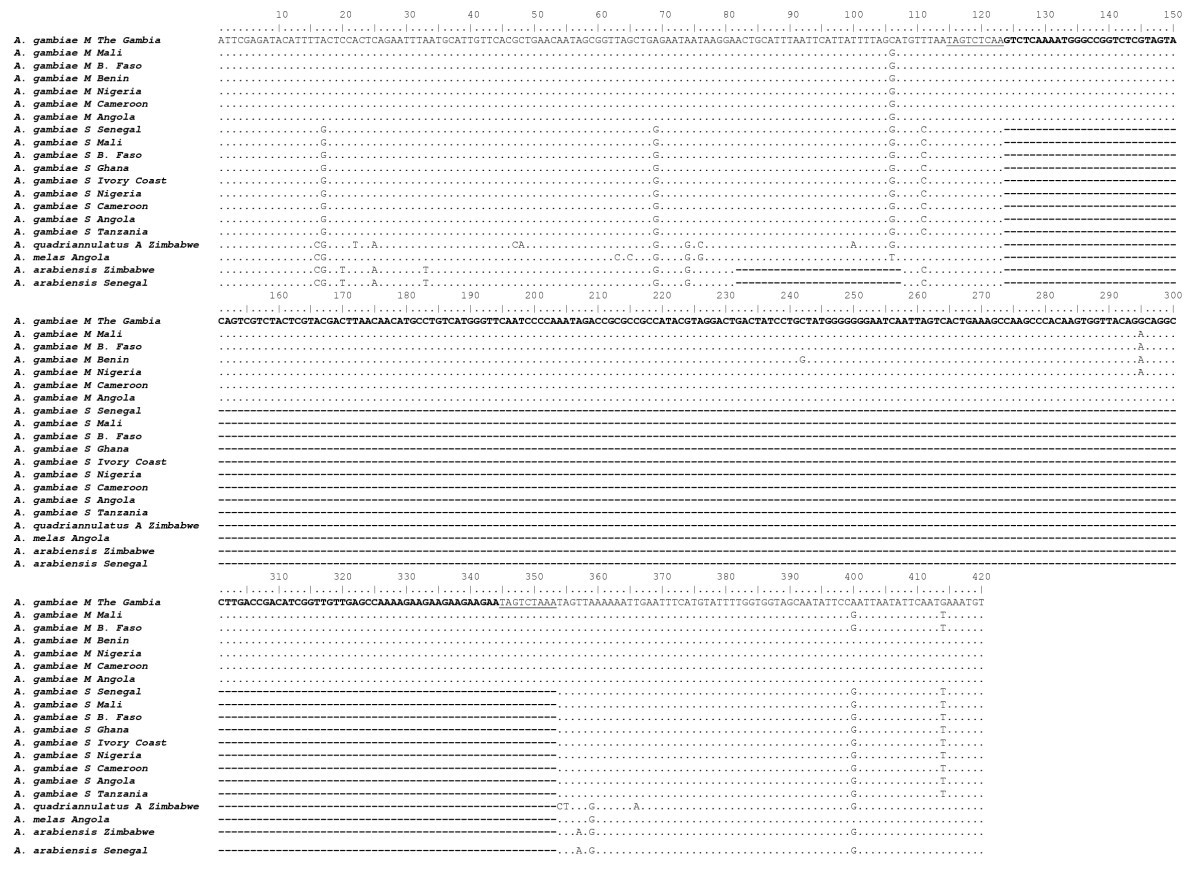 insertion polymorphisms of sine200 retrotransposons within fs form 1455